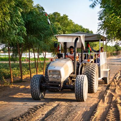 Emirates Bio Farm offers guided tractor tours