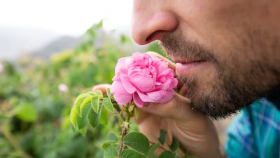 A tourist during a tour of the rose farms in Al Ayn village.