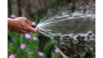 A reader says we must all be careful not to waste the UAE's limited supply of water. Pawar Singh / The National