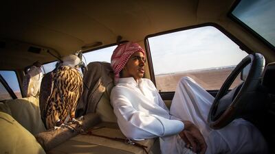 The collection is an in-depth study of the sport of falconry, made possible through the patronage of Abu Dhabi Sports Council and the funding of Columbia Threadneedle Investments.
