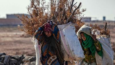 Children carry sacks of wood cut from trees at Mount Abdulaziz nature reserve near Hasakah, north-eastern Syria. AFP