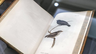 The public can also access books and manuscripts via its digital collections.