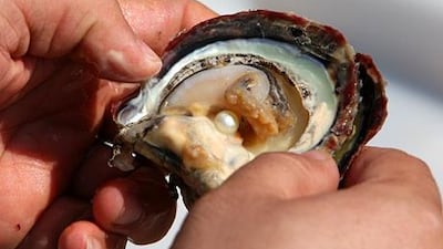An employee of RAK Pearls opens an oyster at the company's pearl farm in Ras Al Khaimah. Pawan Singh / The National