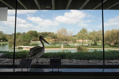 The Wasit Wetland Centre in Sharjah. Aga Khan Trust for Culture / Cem