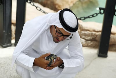 Sheikh Fahim Al Qassimi with a rescued turtle at the Burj Al Arab Turtle Rehabilitation Sanctuary for surgery. Chris Whiteoak / The National