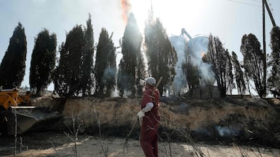 A farmer looks at burning trees near Flix. AFP