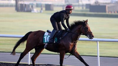 Festive Cheer has a run on Friday morning. The bay colt will compete in the Dubai Sheema Classic. Pawan Singh / The National