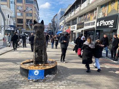 Many Iranians have arrived in Van during the protests back home to seek an internet connection and speak with friends and family. Lizzie Porter for The National
