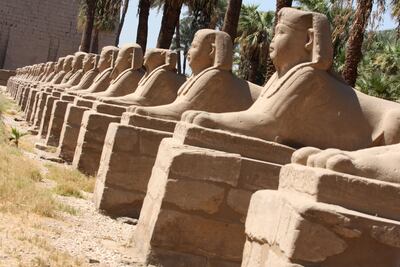 Sphinxes stand guard at the Luxor Temples in Egypt. Victoria Hazou for The National