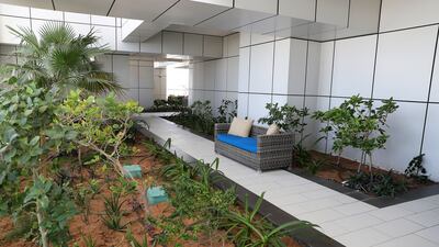 The garden area where residents can relax or host parties