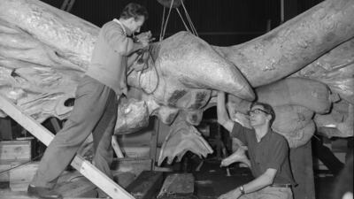 The sculpture of an American eagle is worked on at Pickford Sheds in Tower Bridge Road before being installed on the US Embassy building. Getty Images