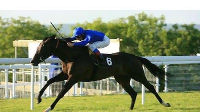 How Holberg runs in the Henry II Stakes will determine if Saeed bin Suroor pitches him in the Ascot Gold Cup next month.