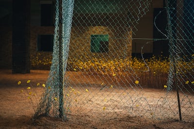 Helena Uambembe’s Blooming in Stasis is listed among the works for Sharjah Biennial 17. Photo: Wolfgang Stahr