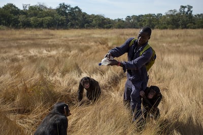 Labour of Love (2015) by Dan Kitwood. Photo: Xposure Festival
