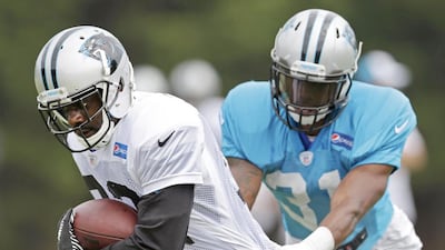 Jerricho Cotchery, left, has been brought in by the Carolina Panthers to not just replace veteran Steve Smith but also to mentor their young group of wide receivers. Chuck Burton / AP Photo