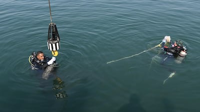 The major clean-up of Al Hamriya Port found old tyres, ropes and plastic waste. Dubai Ports