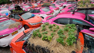 These taxis have been idled by the coronavirus crisis. AP