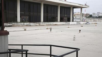 Stray dogs roam the former Athens International airport Hellenikon. Yorgos Karahalis / Reuters