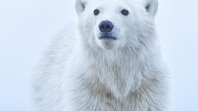 Jenny Zhao, US, Winner, National Awards, Sony World Photography Awards 2022.