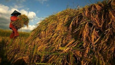 Oxfam has called for a radical action by the Group of 20 industrialised nations to prevent a doubling of basic food prices and mass starvation. Amr Abdallah Dalsh / Reuters