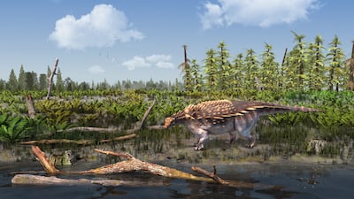 Belonging to a group of plant-eating dinosaurs known as ankylosaur, its remains were found in the island’s Wessex Formation. PA
