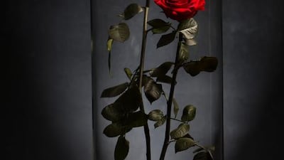 Forever Rose uses glass domes to extend the life of its specially treated roses. Photos courtesy Forever Rose