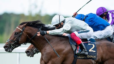 Frankie Dettori, pictured riding Palace Pier to victory in the St James's Palace Stakes at Royal Ascot in June, again led the horse to win the Prix Jacques Le Marois at Deauville. AFP