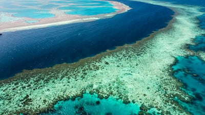 Tourists often get lost, drown, or suffer near-drownings at the Great Barrier Reef, one of Australia's most popular attractions. Getty Images