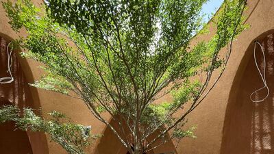 Mud-coloured cave-like domes interlink the cones so visitors can walk across most of the structure that promises to stay pleasant without air-conditioning through the six-month Expo.