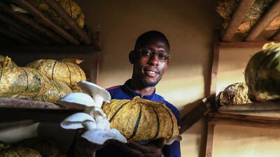 CAMEROON: A farmer grows mushrooms in to diversify his crop. Cameroon was third from the bottom, with the average household spending 45.6% of their budget on food. AFP