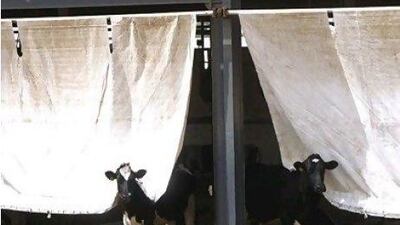 Al Rawabi Dairy Company supplies to more than 9,000 outlets in the UAE and Oman and retains a third of the domestic market share. Jeff Topping / The National