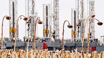 Drilling rigs in Dickinson, North Dakota. Oil has made its best start to the year in five years. Andrew Cullen/Reuters