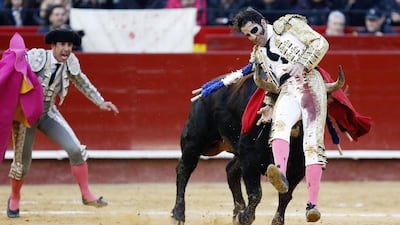 Spanish bullfighter Juan Jose Padilla is hit by his second bull during a bullfight held on the occasion of the Fallas Festival in Valencia, Spain. Kai Foersterling / EPA