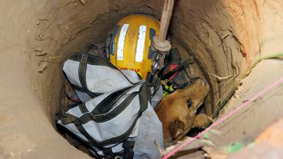 Cesar was rescued after a fireman was lowered into the hole. Pasadena Fire Department / AP