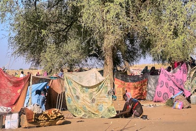 A Sudanese woman who fled El Fasher in Darfur ties her tent at her displaced camp in Tawila, also in Darfur. AP