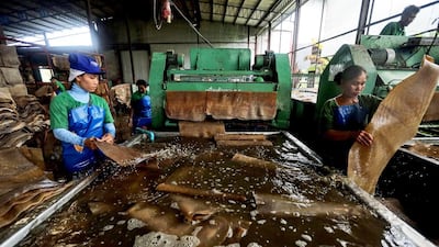Natural rubber supplies are expanding after a decade-long rally in prices to a record in 2011 encouraged top producers such as Thailand, Indonesia and Vietnam to plant more trees. Dario Pignatelli / Bloomberg