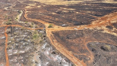 Burnt grasslands in the Upcountry region of Maui island extend almost as far as the eye can see. AP