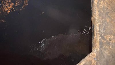 The ship’s owner has not been traced