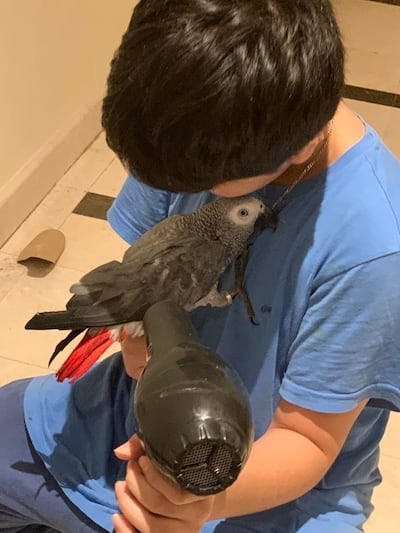 Arya Banay holds Abou, who went missing in Al Furjan on August 31. Courtesy: Zardasht Banay