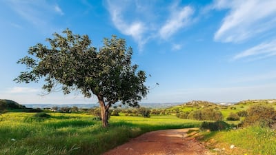 The pace of life is slower than that of Dubai's in Selina's hometown in Cyprus. Getty Images
