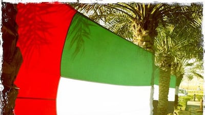 Day trip with friends to the Western Region and the Mazayin Dhafra Camel Festival, 220 kms west of Abu Dhabi on December 20, 2013. The UAE flag was wrapped around some palm trees outside the Tilal Liwa Hotel. Picture taken with the Hipstamatic app for the iPhone. Liz Claus / The National