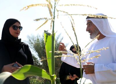 UAE Minister of Climate Change and Environment Dr Amna Al Dahak visits a farm in Al Ain as part of the 'Plant the Emirates' initiative, which aims to find new ways to address our biggest agricultural challenges. Chris Whiteoak / The National