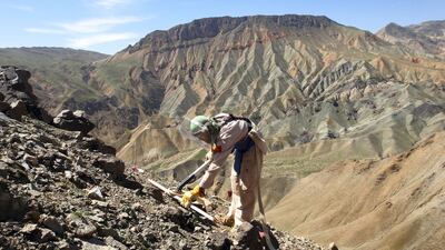 A third of Halo's 9,000 operators are employed in Afghanistan.The Halo Trust