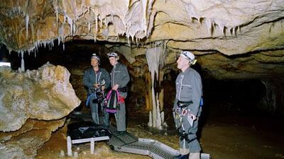 A scene from Werner Herzog’s Cave of Forgotten Dreams.