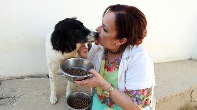 Ms Mansour feeds a dog