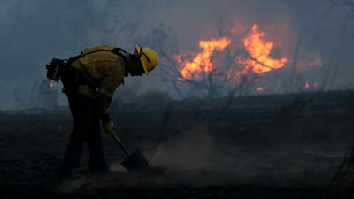 A firefighter works to put out hot spots on a fast moving wildfire. Mike Blake / Reuters