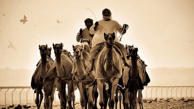 Al Tasrieh by Roger Alfonso won the Abu Dhabi Through Your Eyes photography competition in 2011. Photo by Roger Alfonso