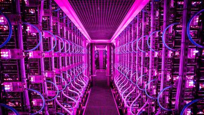 A future food farming system where state-of-the-art, enclosed and modular photo-bioreactors produce chlorella and spirulina algae. Cities dotted with photo-bioreactors growing algae? Mass farming of housefly maggots? These are just some of the food innovations that researchers say will be crucial to combat malnutrition in the face of climate change and other system shocks. AFP Photo/Vaxa Impact Nutrition