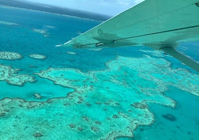 An aerial survey of coral bleaching on the Great Barrier Reef in April 2020. AFP / James Cook University