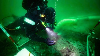 A diver examines an artefact at the site of an 8,500-year-old coastal settlement in the Bay of Aarhus, in Denmark. AP